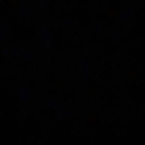 Meet your Posher, Kyra